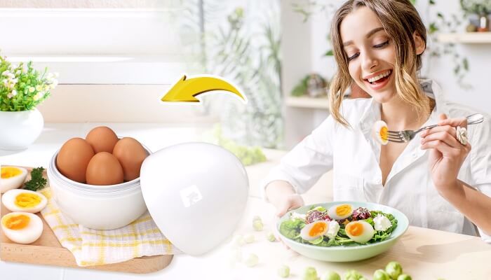 Eggfecto Egg Cooker Reviews